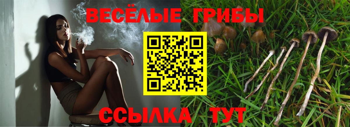 Владивосток  Галлюциногенные грибы Magic Shrooms  Вход с VPN  Галлюциногенные грибы Magic Shrooms 
